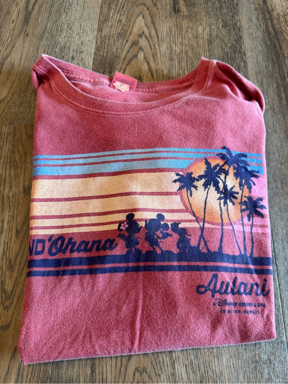 Disney Aulani shirt